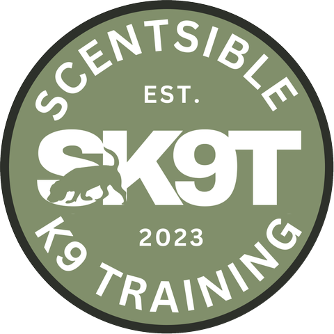 SK9 Training logo